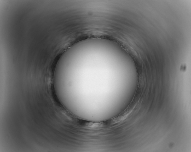 X0000102830135200808181058