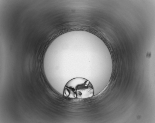 X0000102830136200808181058