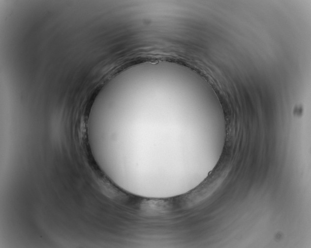 X0000102830137200808181058