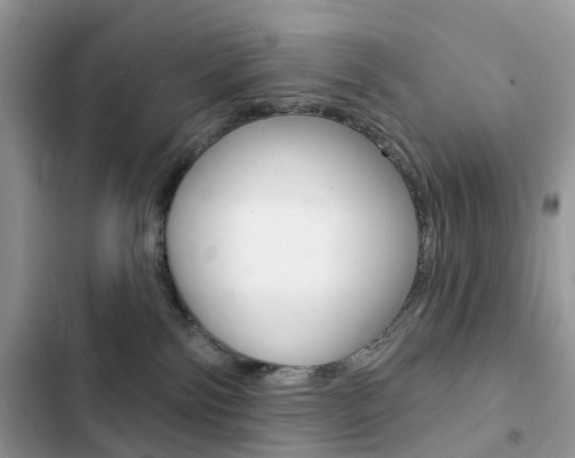 X0000102830138200808181058