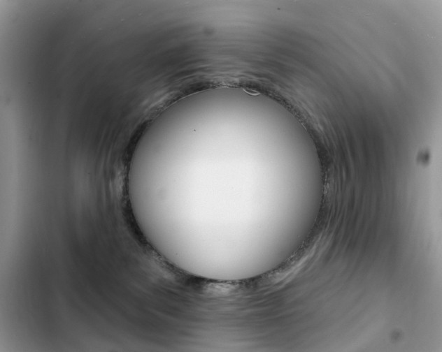 X0000102830139200808181058