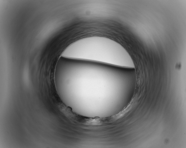 X0000102830140200808181058