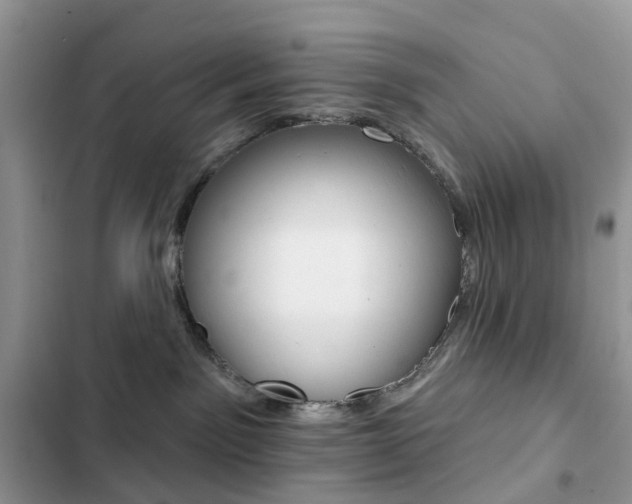 X0000102830141200808181058