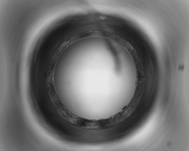 X0000102830143200808181057