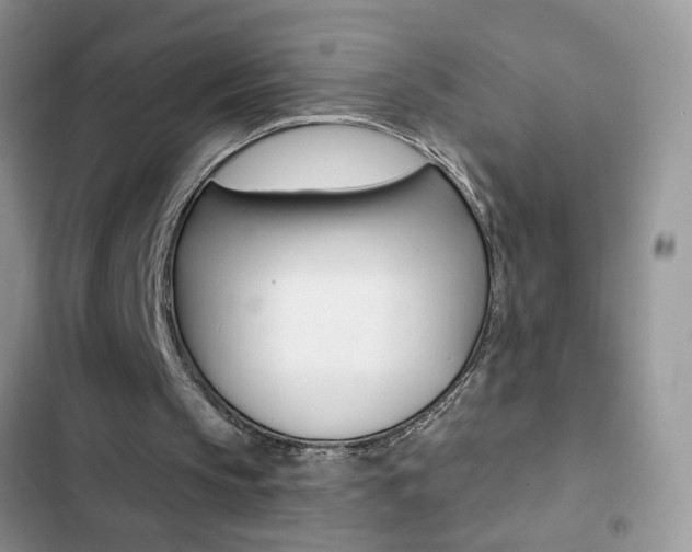 X0000102830145200808181057