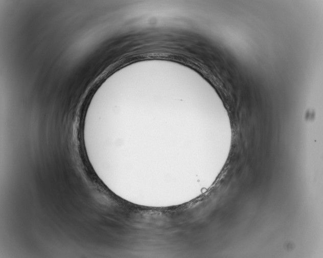 X0000102830146200808181057