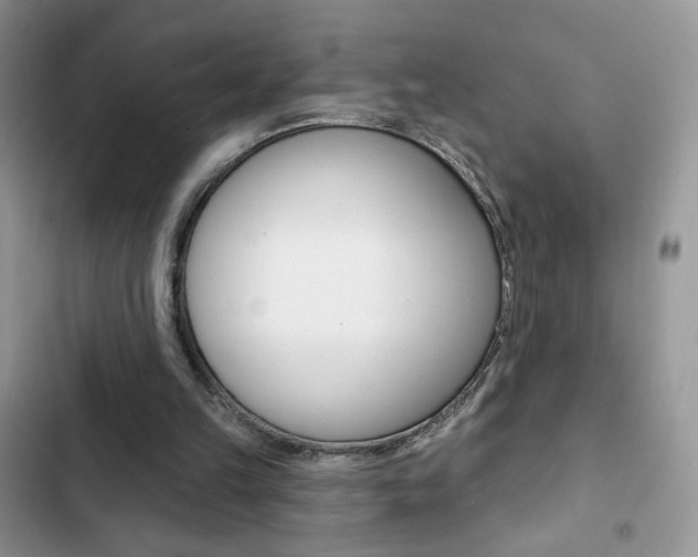 X0000102830149200808181057