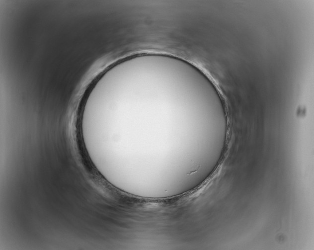 X0000102830151200808181057