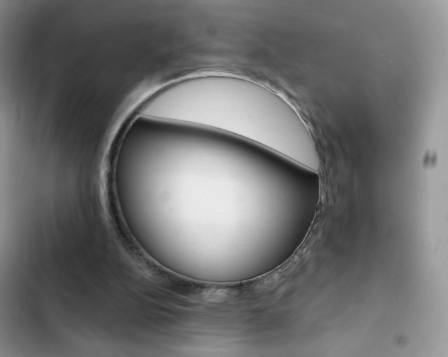 X0000102830152200808181057