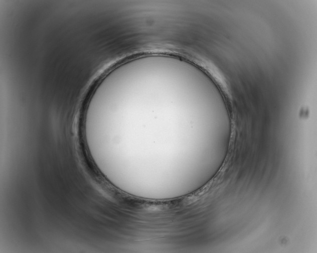 X0000102830155200808181057