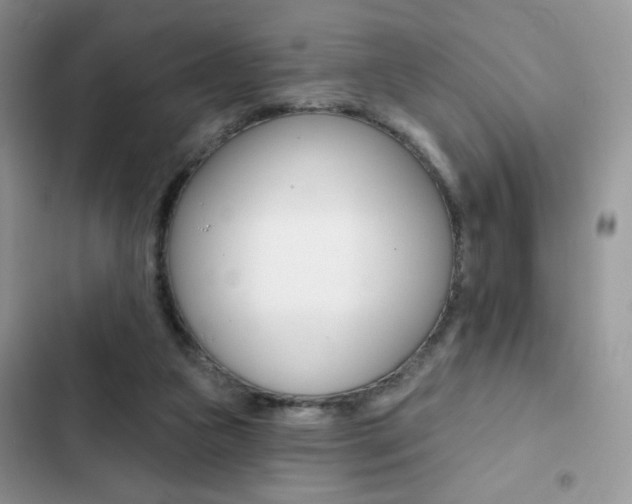 X0000102830161200808181057