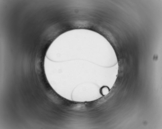 X0000102830162200808181057