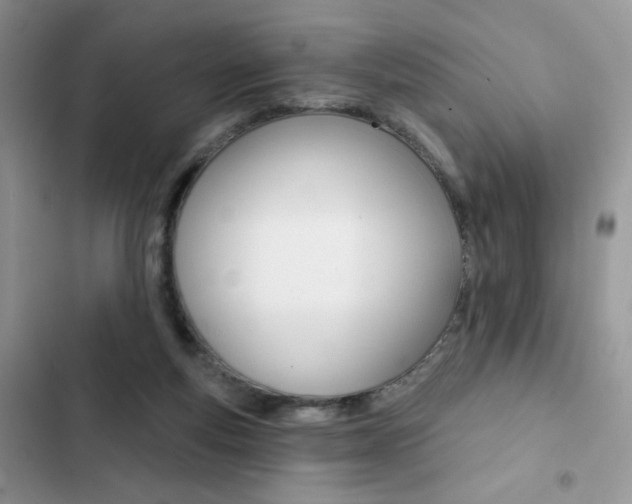 X0000102830163200808181057
