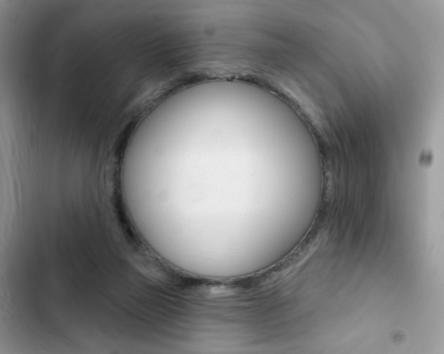 X0000102830165200808181057