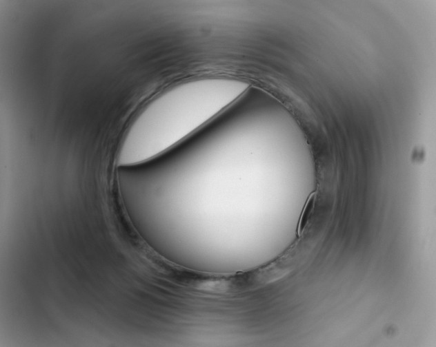 X0000102830168200808181057