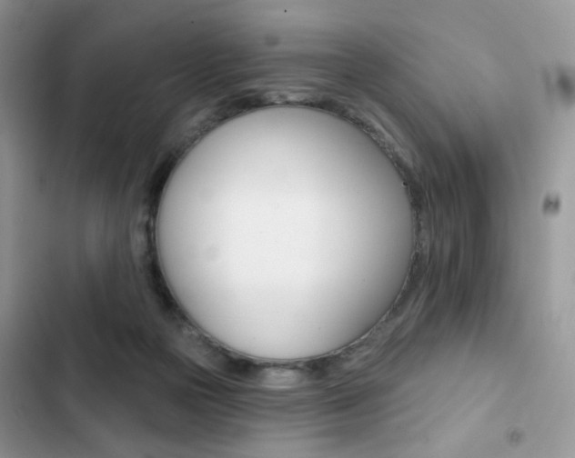X0000102830169200808181057