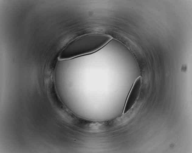 X0000102830172200808181057