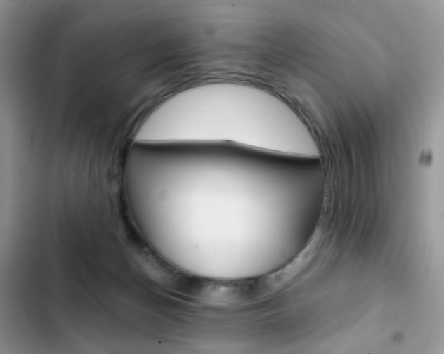 X0000102830174200808181057