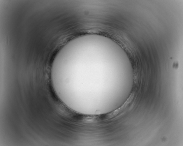 X0000102830175200808181057