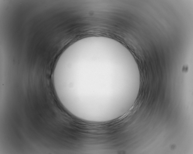 X0000102830176200808181057