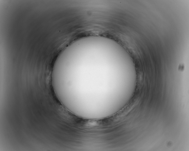 X0000102830177200808181057