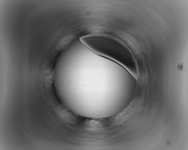 X0000102830180200808181057