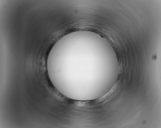 X0000102830187200808181057