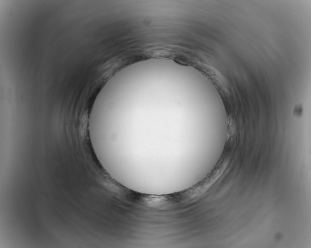 X0000102830189200808181057