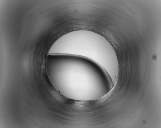 X0000102830190200808181057