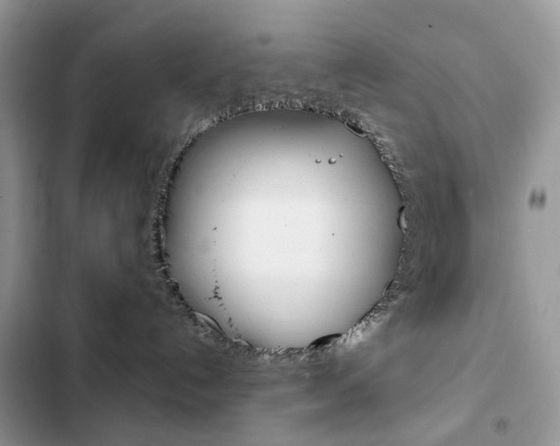 X0000102830192200808181057