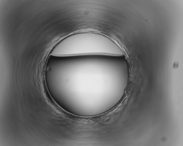 X0000102830193200808181057