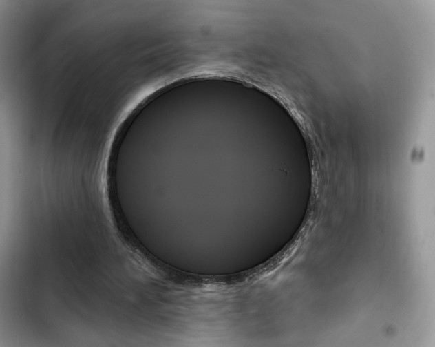 X0000102830196200808181057