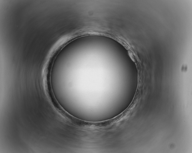 X0000102830197200808181057