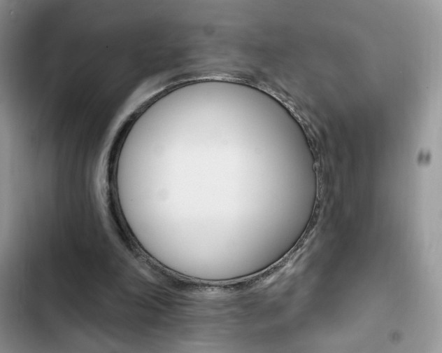 X0000102830198200808181057