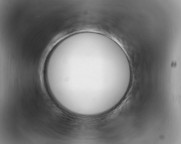 X0000102830199200808181057