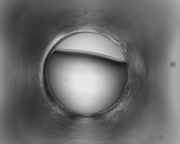 X0000102830200200808181057