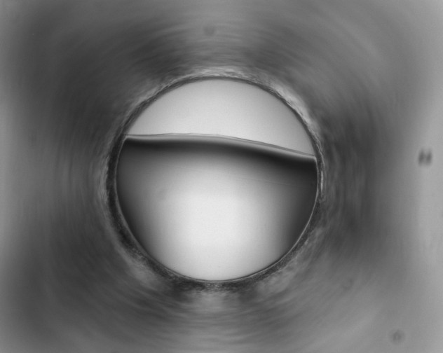 X0000102830201200808181057