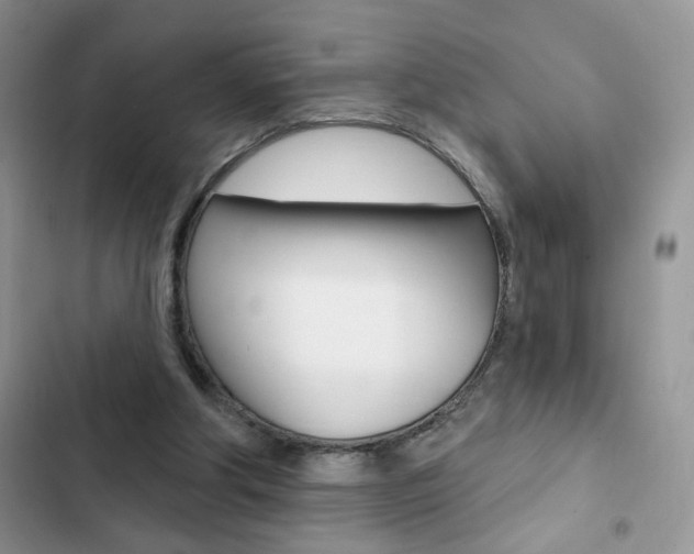 X0000102830202200808181056