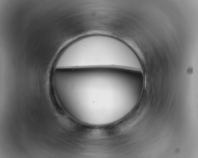 X0000102830204200808181056