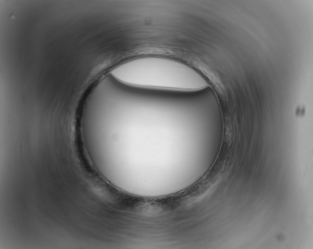 X0000102830207200808181056