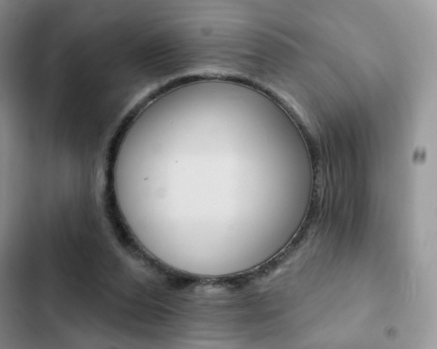 X0000102830208200808181056