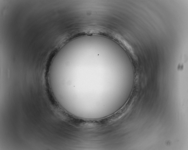 X0000102830209200808181056