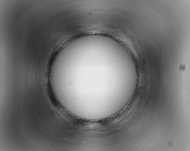 X0000102830210200808181056