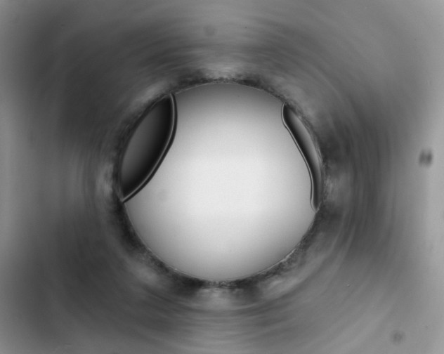 X0000102830211200808181056