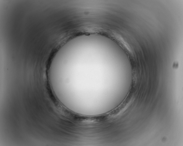 X0000102830213200808181056