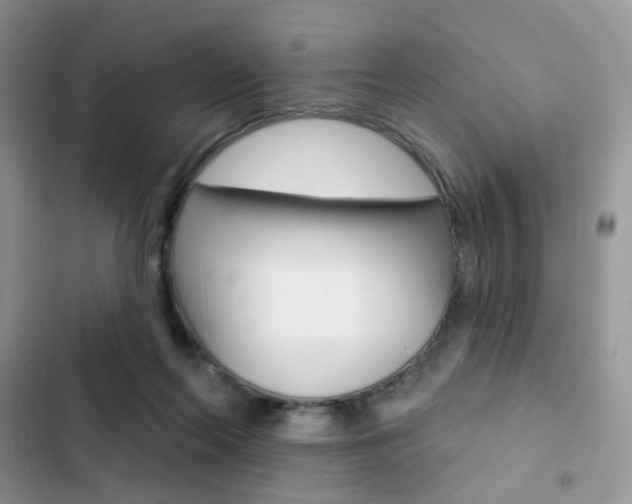 X0000102830214200808181056