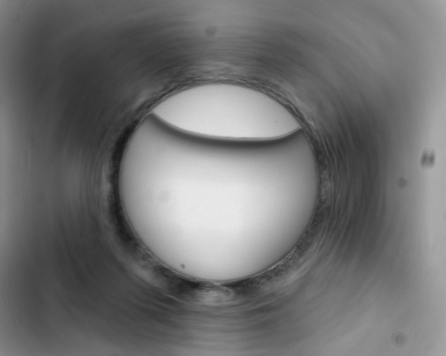 X0000102830215200808181056