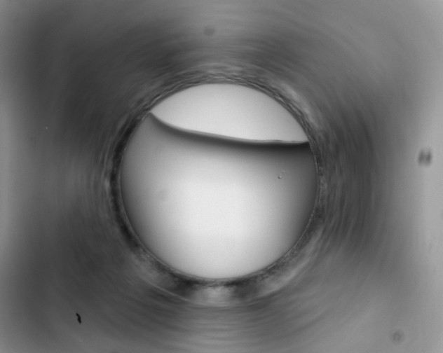 X0000102830217200808181056