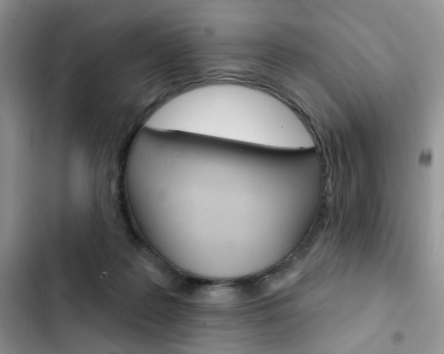 X0000102830219200808181056