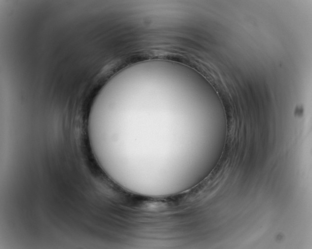 X0000102830220200808181056